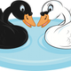 Illustration for article titled Have You Played The emBlack Swan/em Game?